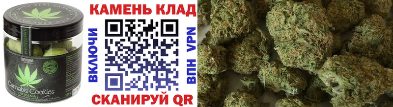 гидра   Новошахтинск  Canna-Cookies марихуана  купить  цена 