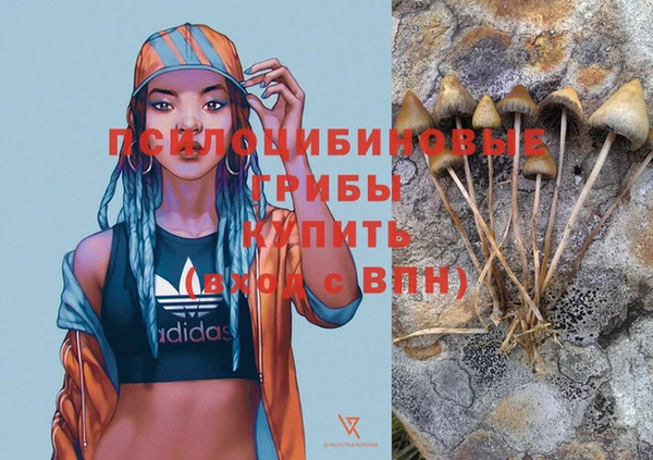 мескалин Алексин