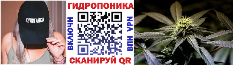 купить наркоту Новошахтинск Шишки марихуана индика